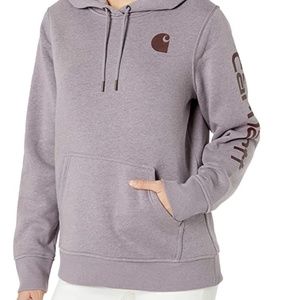 Carhartt Women's Regular Clarksburg Sleeve Logo Hooded Sweatshirt